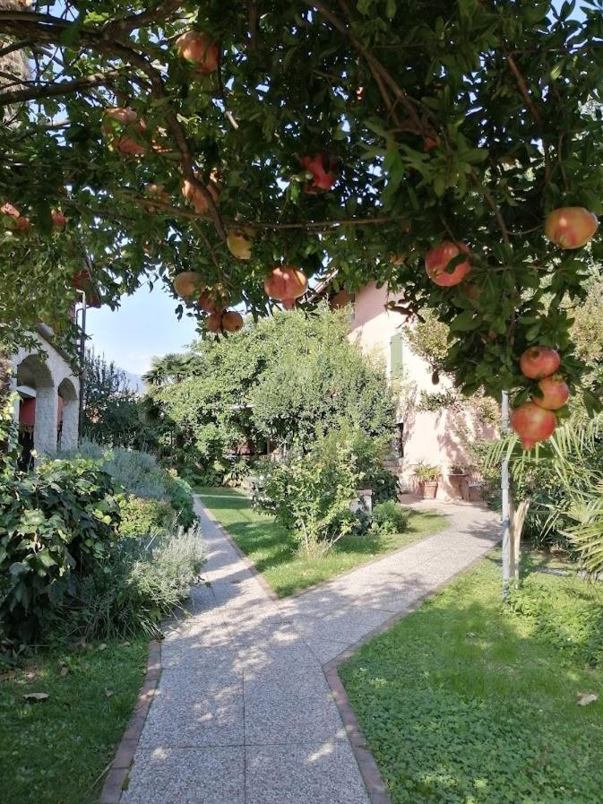 Al Rustico Hotel Torbole Sul Garda Buitenkant foto